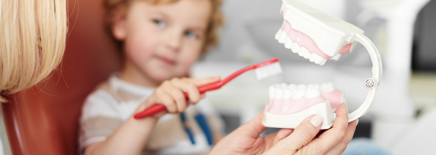 Oral Hygiene - FRANK P. SCARTOZZI, D.D.S., Closter, New Jersey
